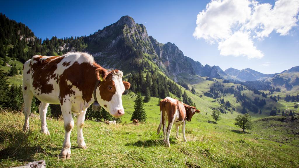 Hostellerie Am Schwarzsee Bad-Schwarzsee Εξωτερικό φωτογραφία