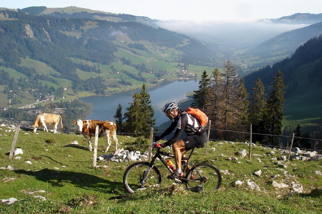Hostellerie Am Schwarzsee Bad-Schwarzsee Εξωτερικό φωτογραφία
