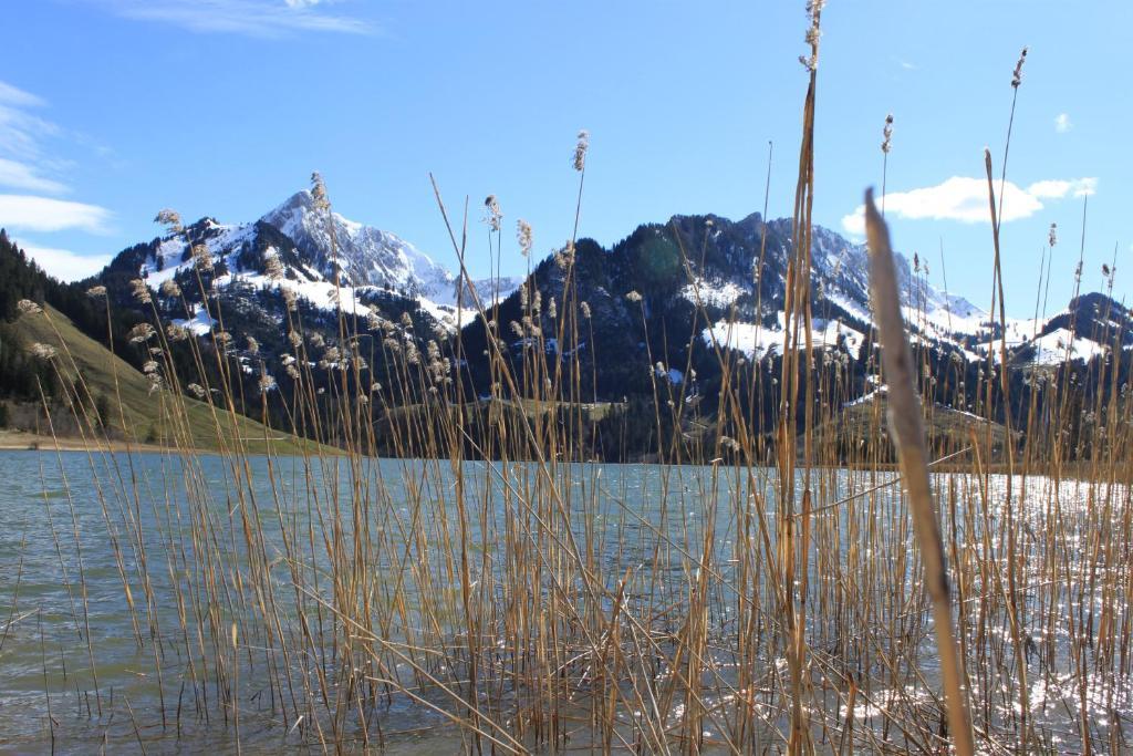 Hostellerie Am Schwarzsee Bad-Schwarzsee Εξωτερικό φωτογραφία